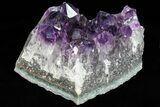 Dark Purple Amethyst Cluster - Large Crystals #77001-1